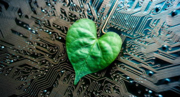 A,Green,Leaf,With,A,Heart,Shape,On,A,Computer